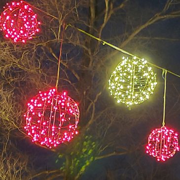 Lights at Longwood