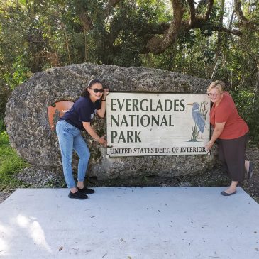 Miami: day 3/ 23, Everglades